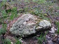 Mackinaw Island Area May 2008 1135